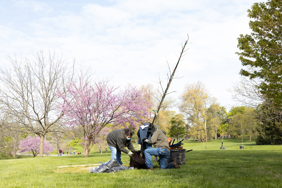 LifeCenter-TreePlanting-103