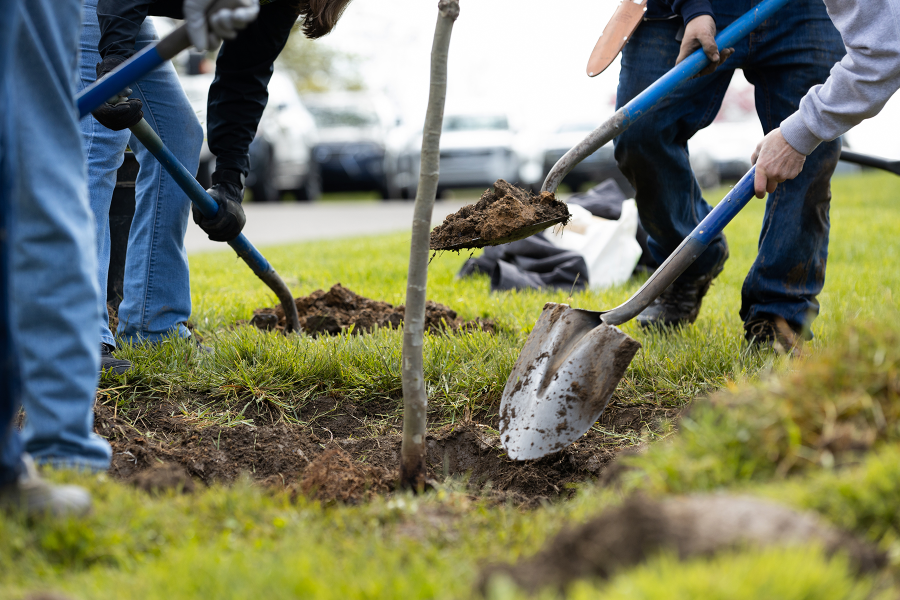 LifeCenter-TreePlanting-147(1)