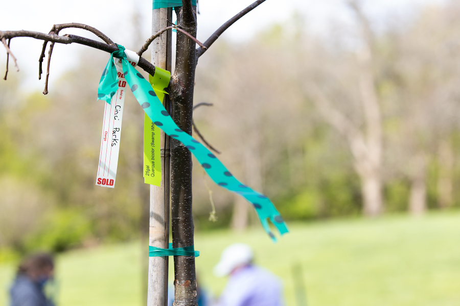 LifeCenter-TreePlanting-149