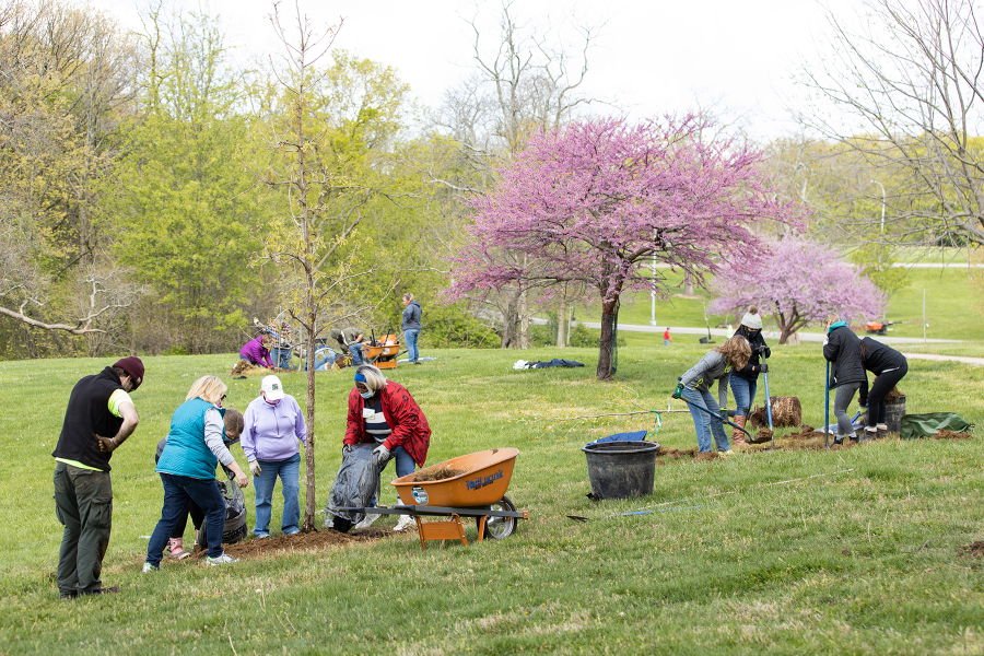 LifeCenter-TreePlanting-151