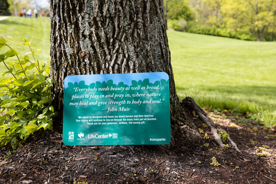 LifeCenter-TreePlanting-156